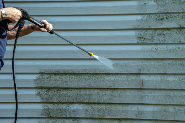 Best Sidewalk and Walkway Cleaning  in Siesta Shores, TX